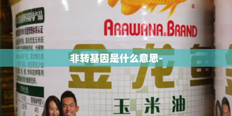 非转基因是什么意思-