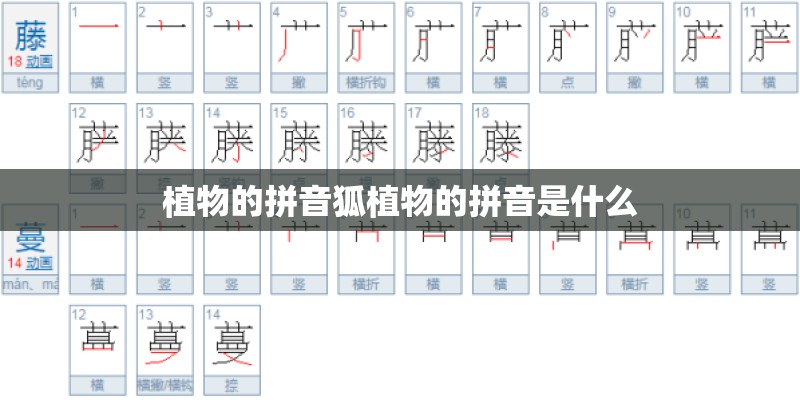 植物的拼音狐植物的拼音是什么