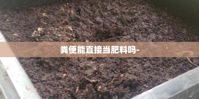 粪便能直接当肥料吗-