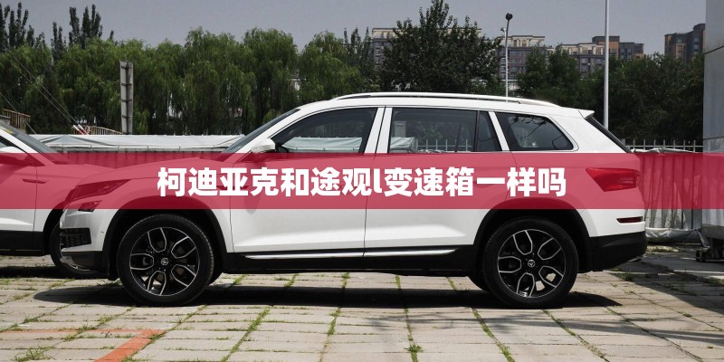 柯迪亚克和途观l变速箱一样吗