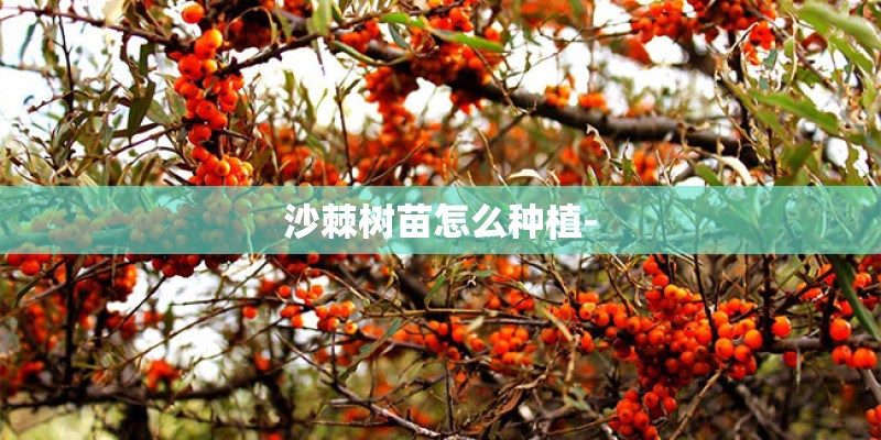 平遥今天24小时的天气怎么样
