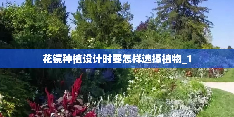花镜种植设计时要怎样选择植物_1