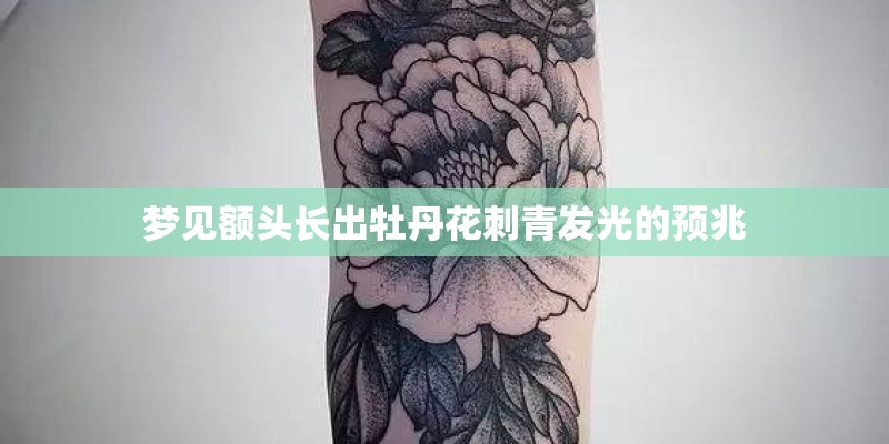 梦见额头长出牡丹花刺青发光的预兆 梦见额头长出牡丹花刺青发光的预兆
