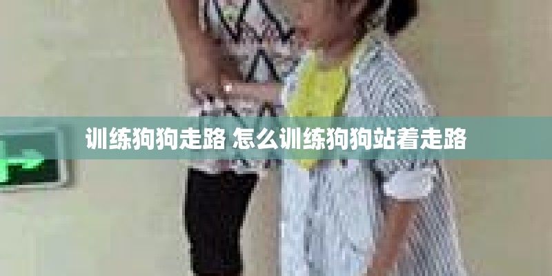 训练狗狗走路 怎么训练狗狗站着走路