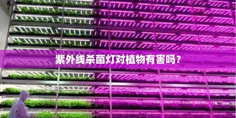 紫外线杀菌灯对植物有害吗? 紫外线杀菌灯对植物有害吗?