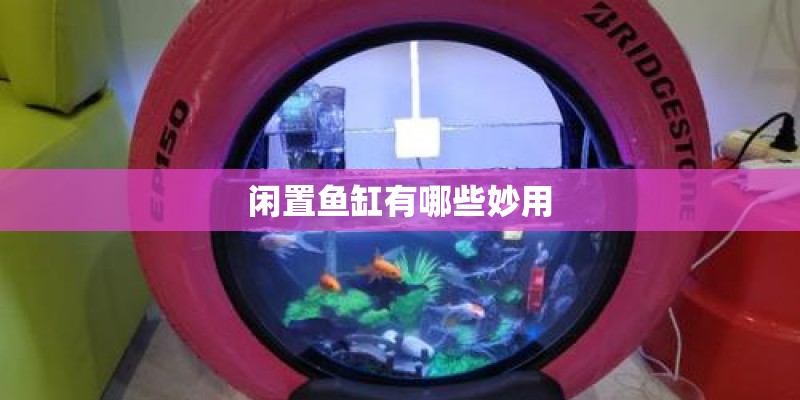 闲置鱼缸有哪些妙用