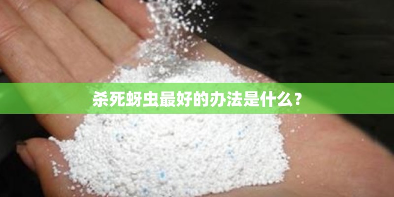 杀死蚜虫最好的办法是什么？