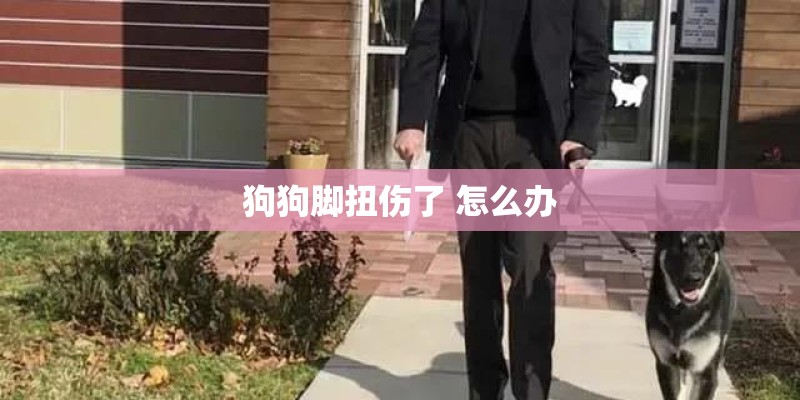 狗狗脚扭伤了 怎么办