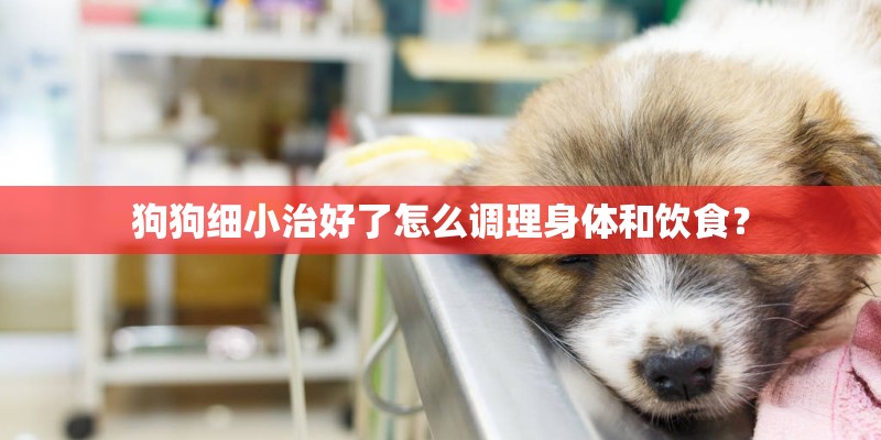 狗狗细小治好了怎么调理身体和饮食？