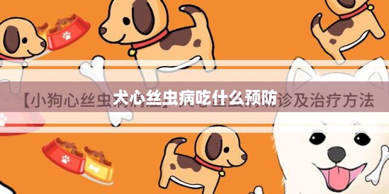犬心丝虫病吃什么预防