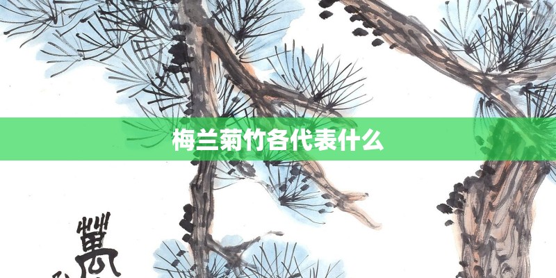 梅兰菊竹各代表什么