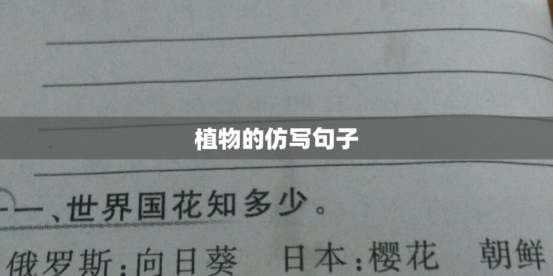 植物的仿写句子