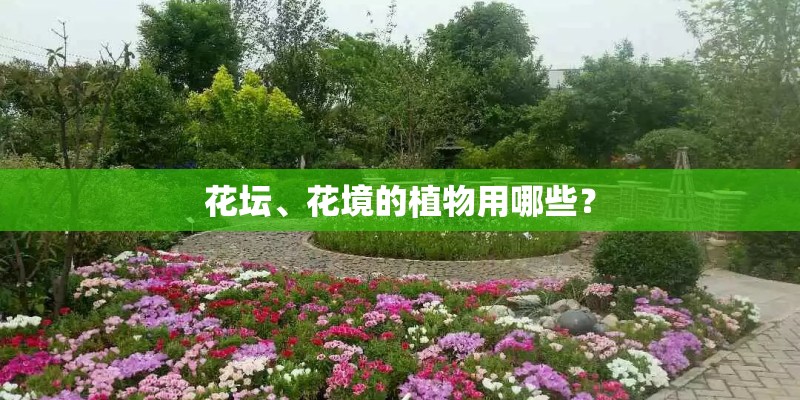 花坛、花境的植物用哪些? 花坛、花境的植物用哪些?