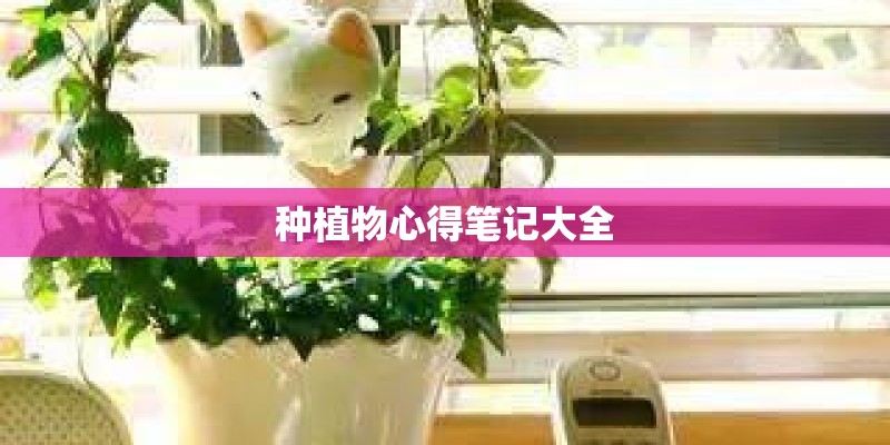 种植物心得笔记大全