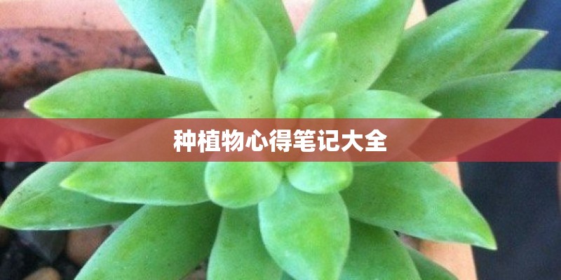 种植物心得笔记大全