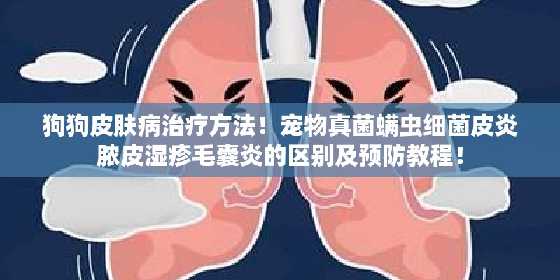 狗狗皮肤病治疗方法！宠物真菌螨虫细菌皮炎脓皮湿疹毛囊炎的区别及预防教程！