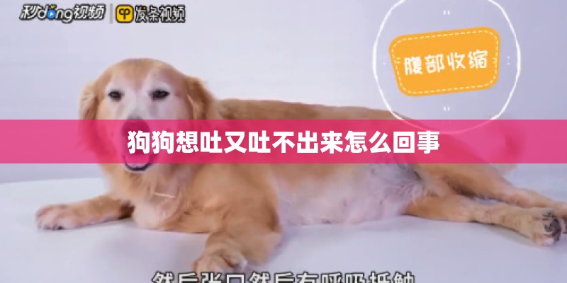 狗狗想吐又吐不出来怎么回事