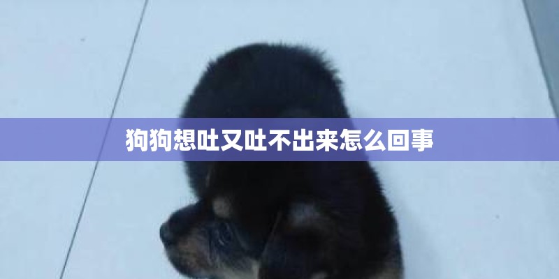 狗狗想吐又吐不出来怎么回事
