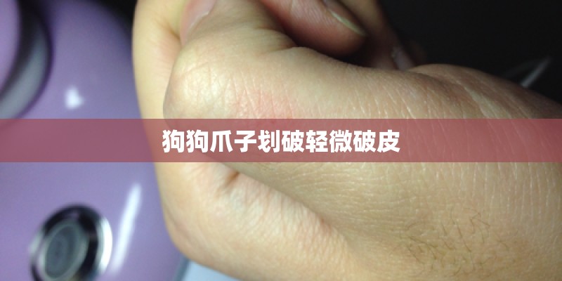 狗狗爪子划破轻微破皮