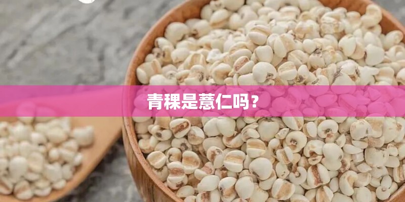 青稞是薏仁吗? 青稞是薏仁吗?