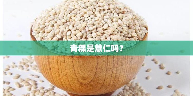 青稞是薏仁吗? 青稞是薏仁吗?