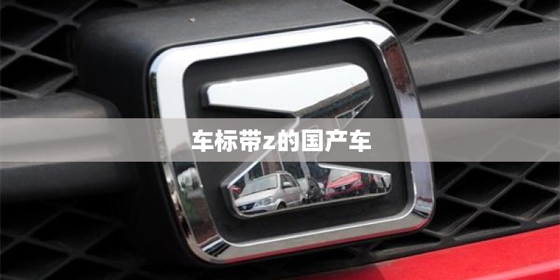 车标带z的国产车
