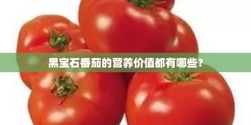 黑宝石番茄的营养价值都有哪些？