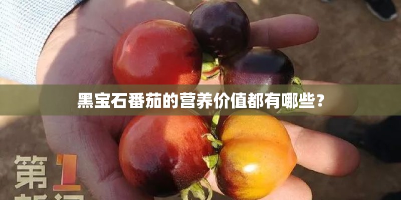 黑宝石番茄的营养价值都有哪些？