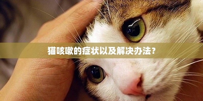 猫咳嗽的症状以及解决办法？