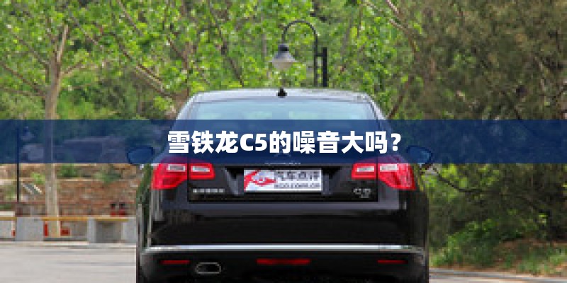 雪铁龙C5的噪音大吗？
