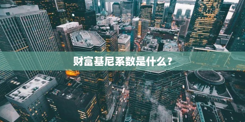 财富基尼系数是什么？