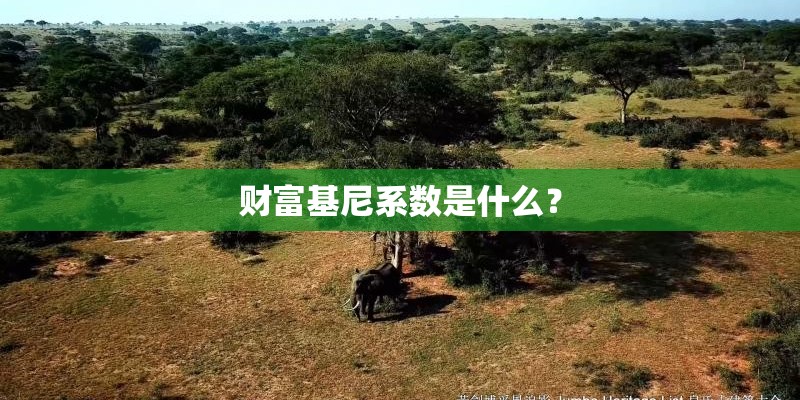 财富基尼系数是什么? 财富基尼系数是什么?