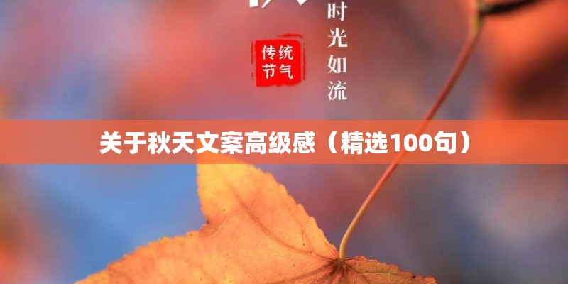 关于秋天文案高级感（精选100句）