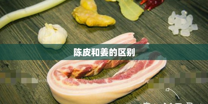 陈皮和姜的区别