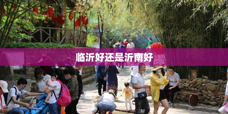 临沂好还是沂南好