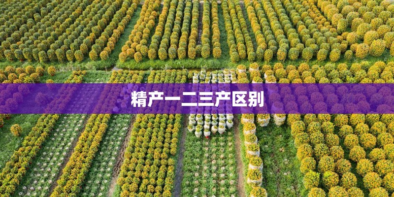 精产一二三产区别
