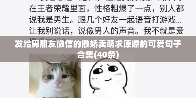 发给男朋友微信的撒娇卖萌求原谅的可爱句子合集(40条)