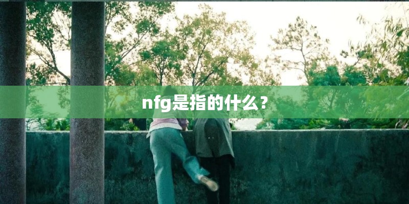 nfg是指的什么？
