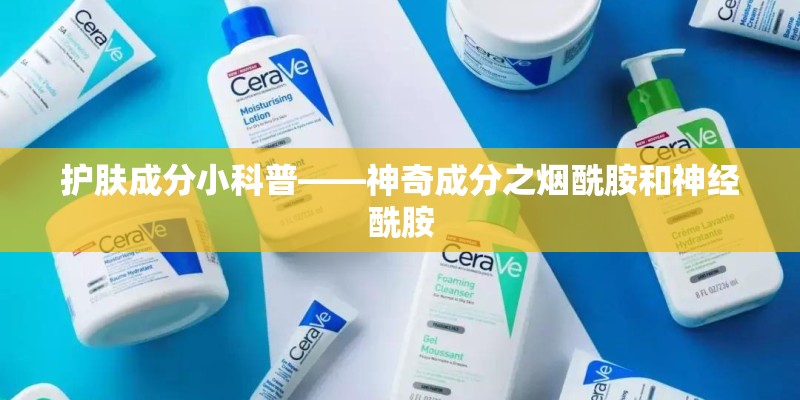护肤成分小科普——神奇成分之烟酰胺和神经酰胺