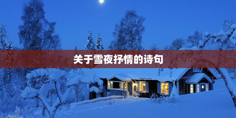 关于雪夜抒情的诗句
