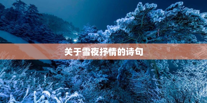 关于雪夜抒情的诗句
