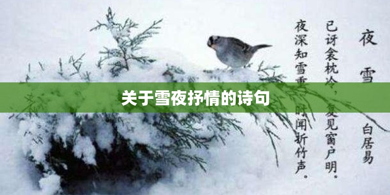 关于雪夜抒情的诗句