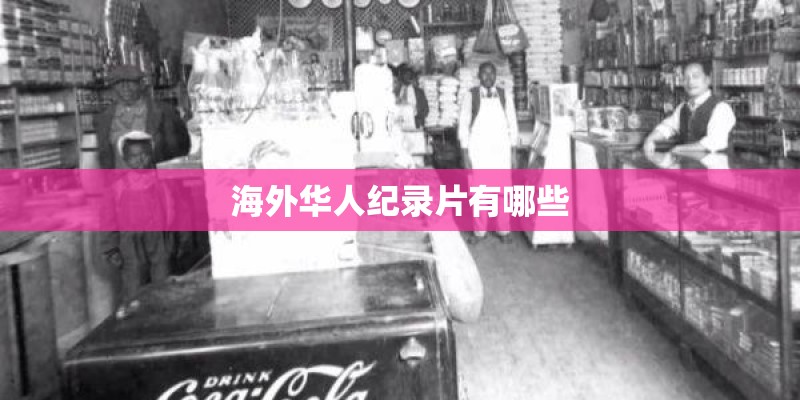 海外华人纪录片有哪些