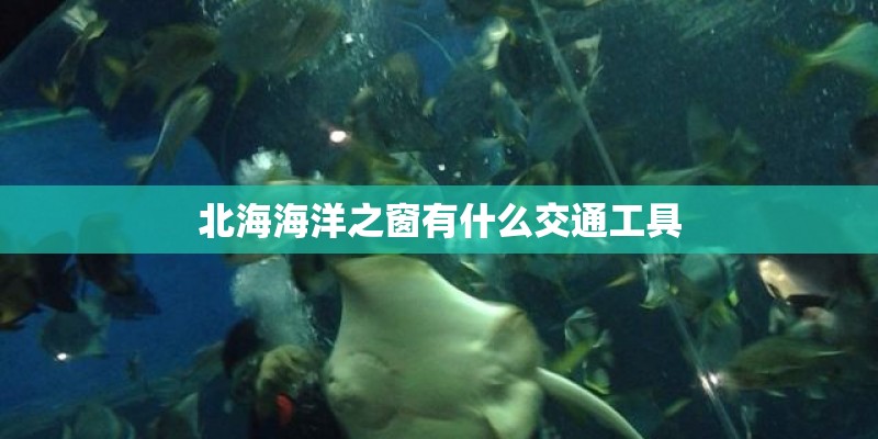 北海海洋之窗有什么交通工具