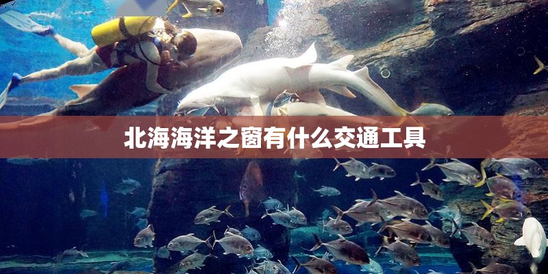 北海海洋之窗有什么交通工具