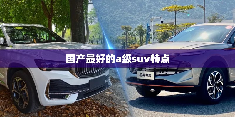 国产最好的a级suv特点