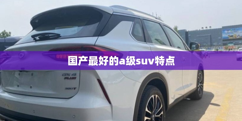 国产最好的a级suv特点