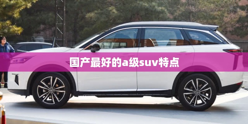 国产最好的a级suv特点