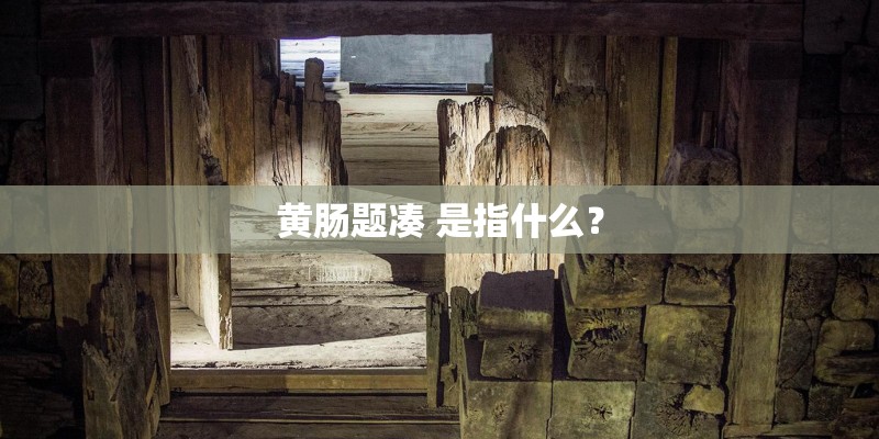 黄肠题凑 是指什么？