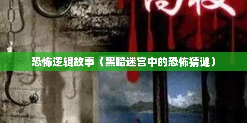 恐怖逻辑故事（黑暗迷宫中的恐怖猜谜）
